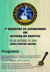 I Cavaquinho meeting at Oliveira do Hospital, 2014